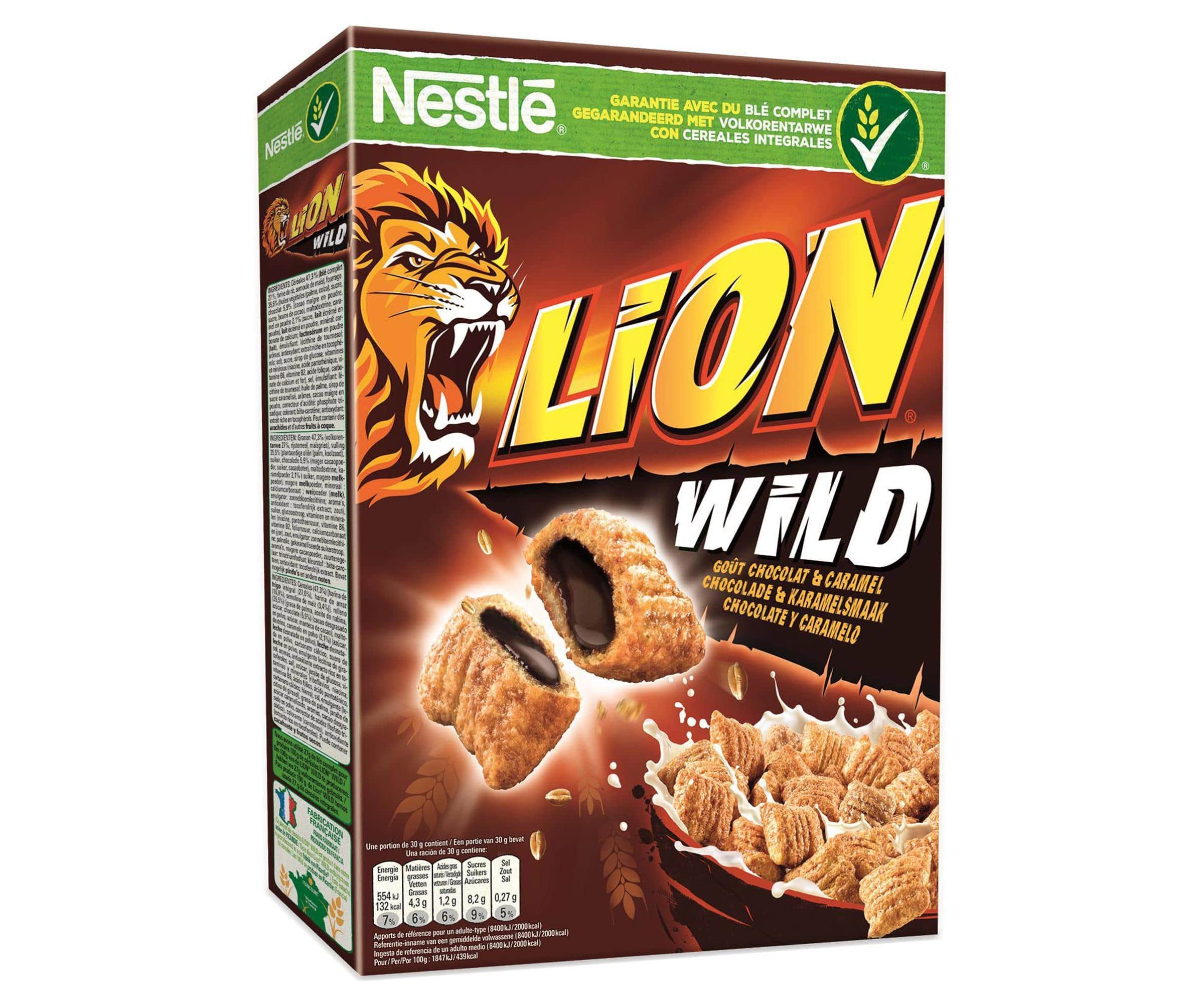 Lion Wild lion wild